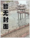 昨夜星辰昨夜梦小说